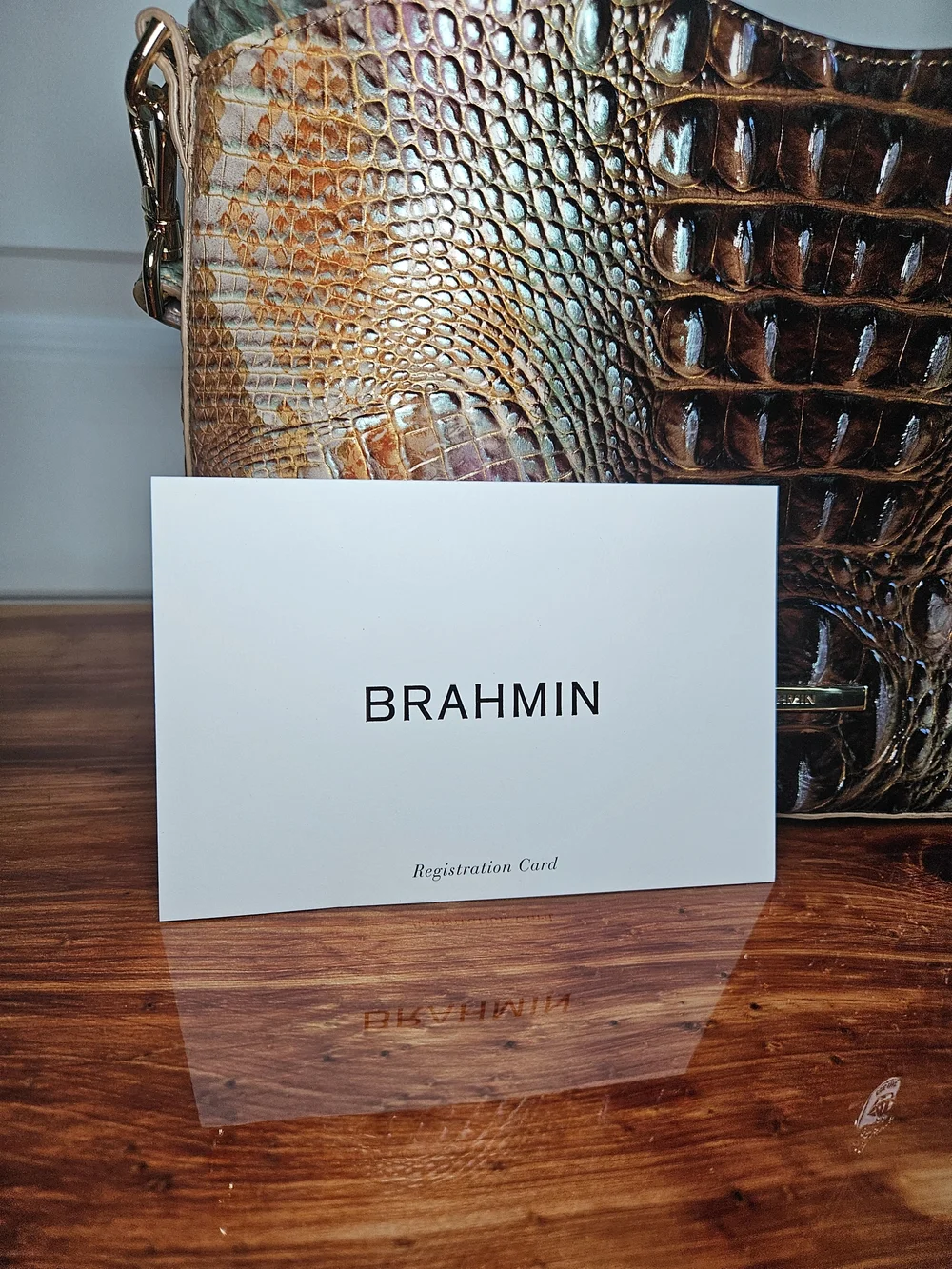 Brahmin Small Elaine Satchel + Matching Wallet | Truffle Python Ombre Melbourne